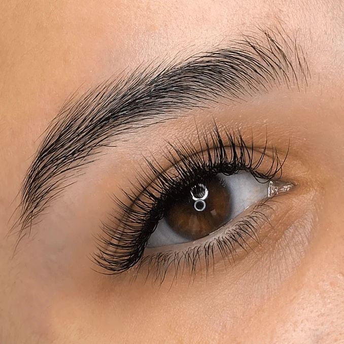 Close-up of a refilled classic lash extension set